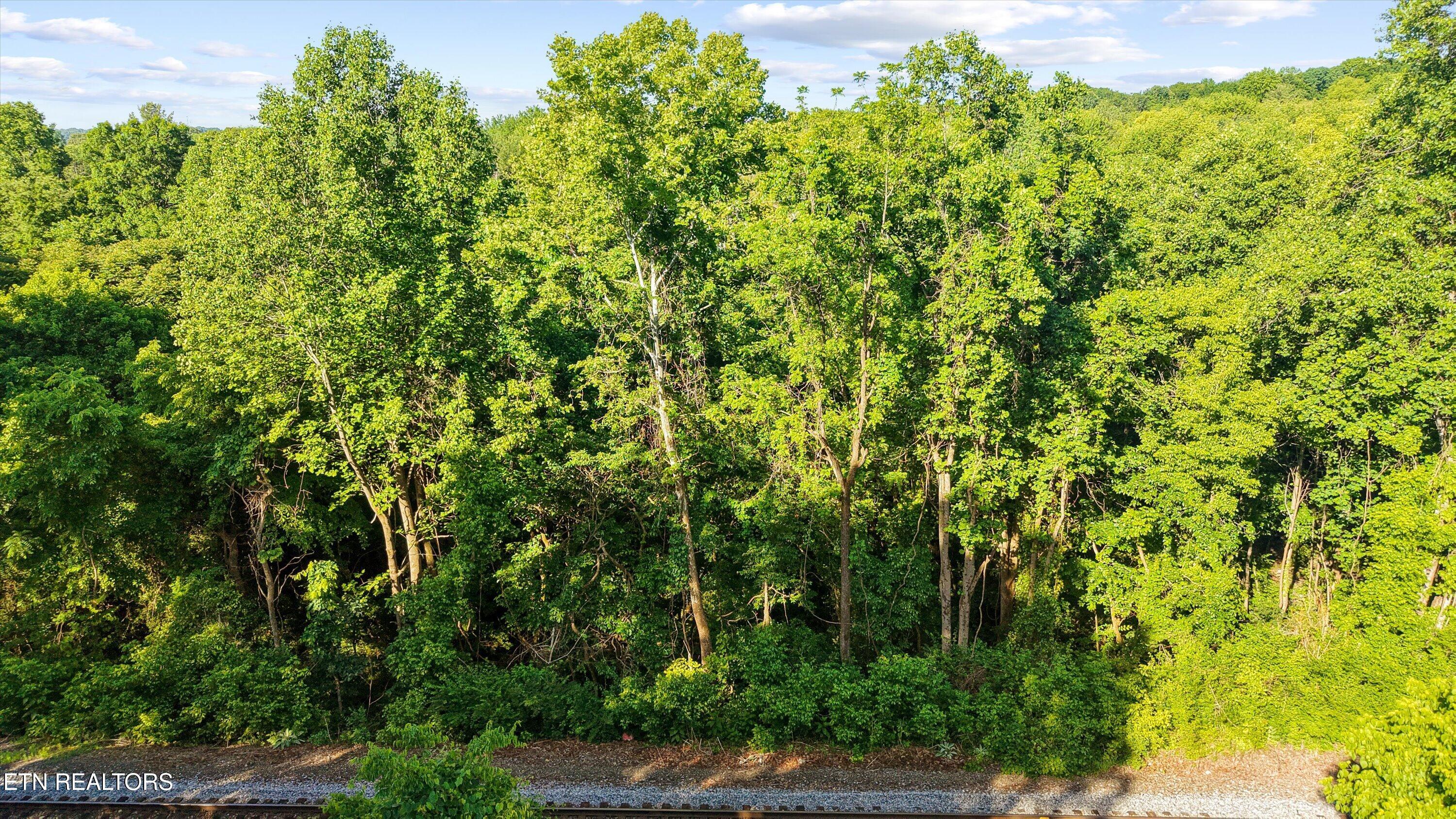L-19 Dry Gap Knoxville TN 37912