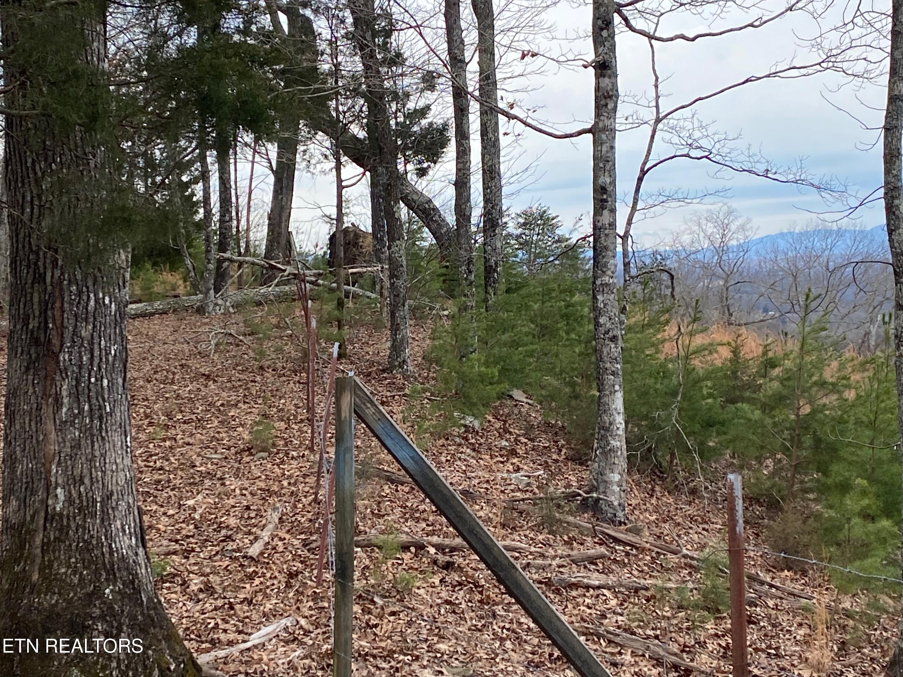 Dark Hollow Road Andersonville TN 37705