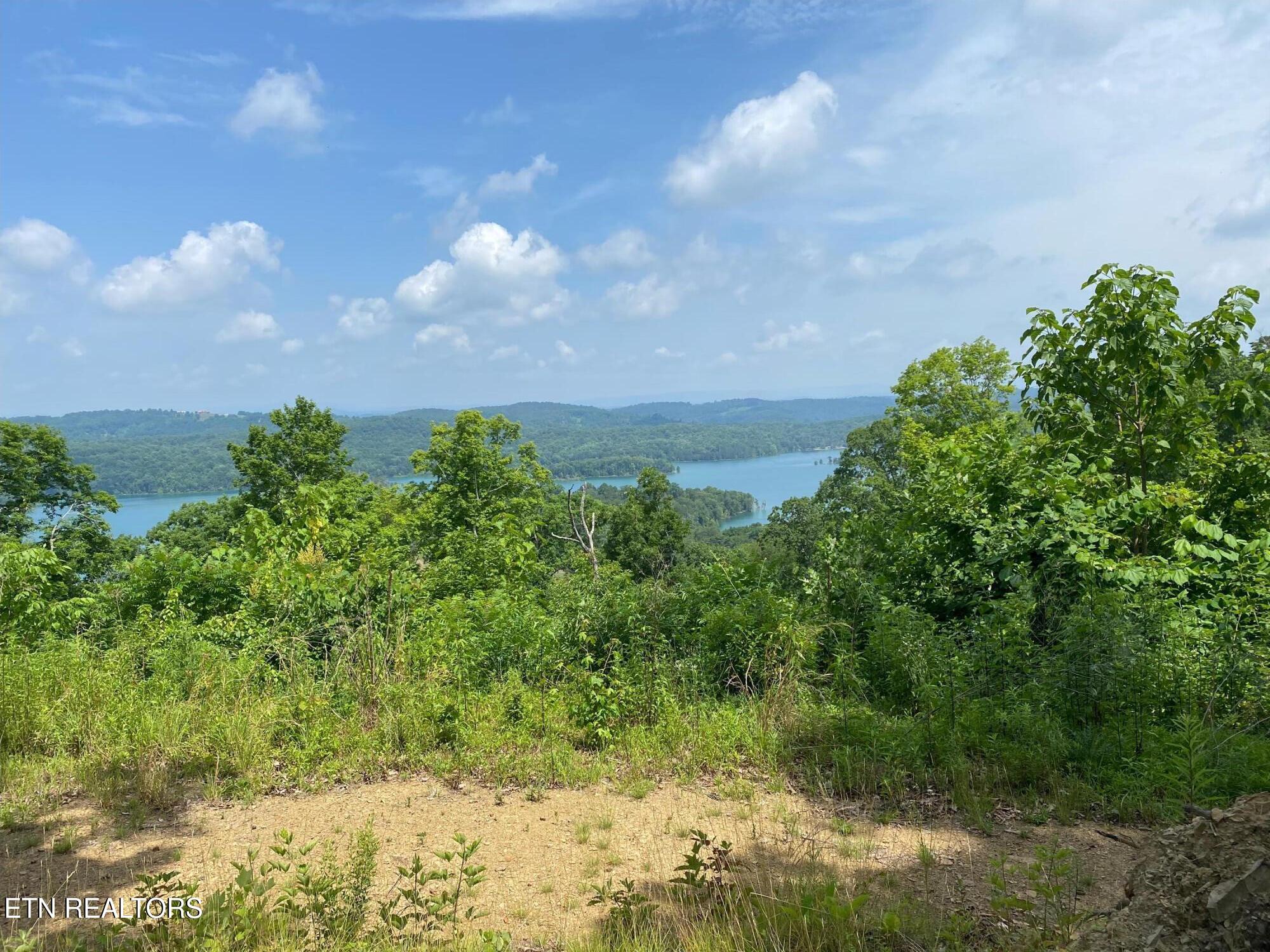 Dark Hollow Road Andersonville TN 37705