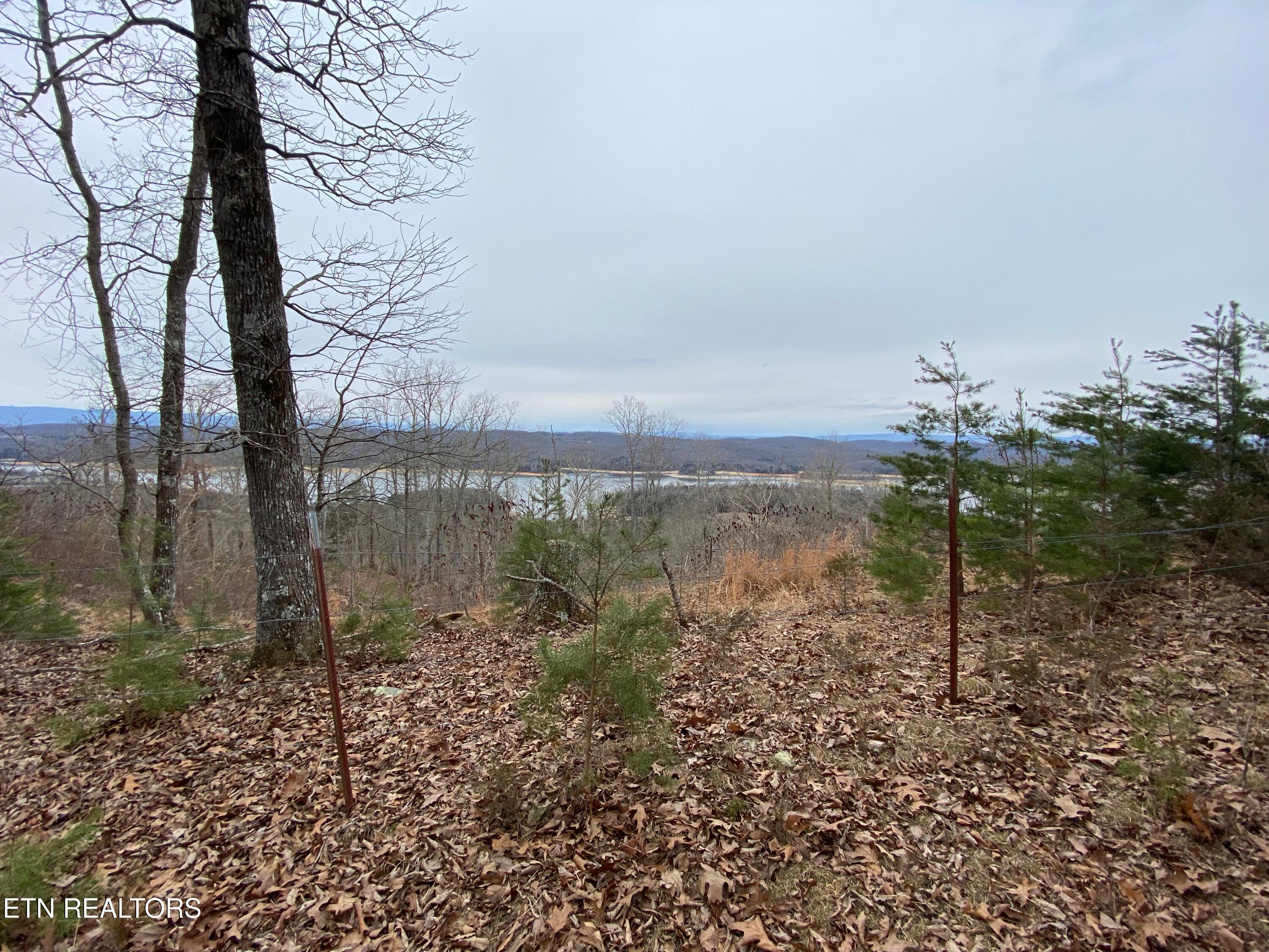 Dark Hollow Road Andersonville TN 37705