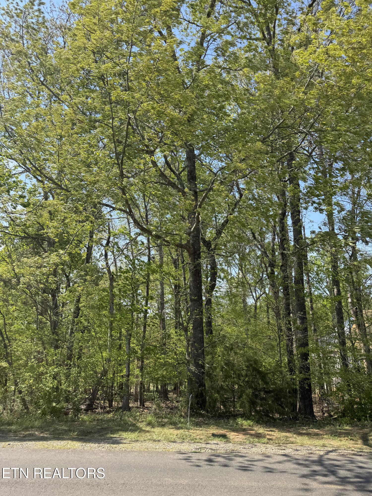 443 Kahite Trail Vonore TN 37885