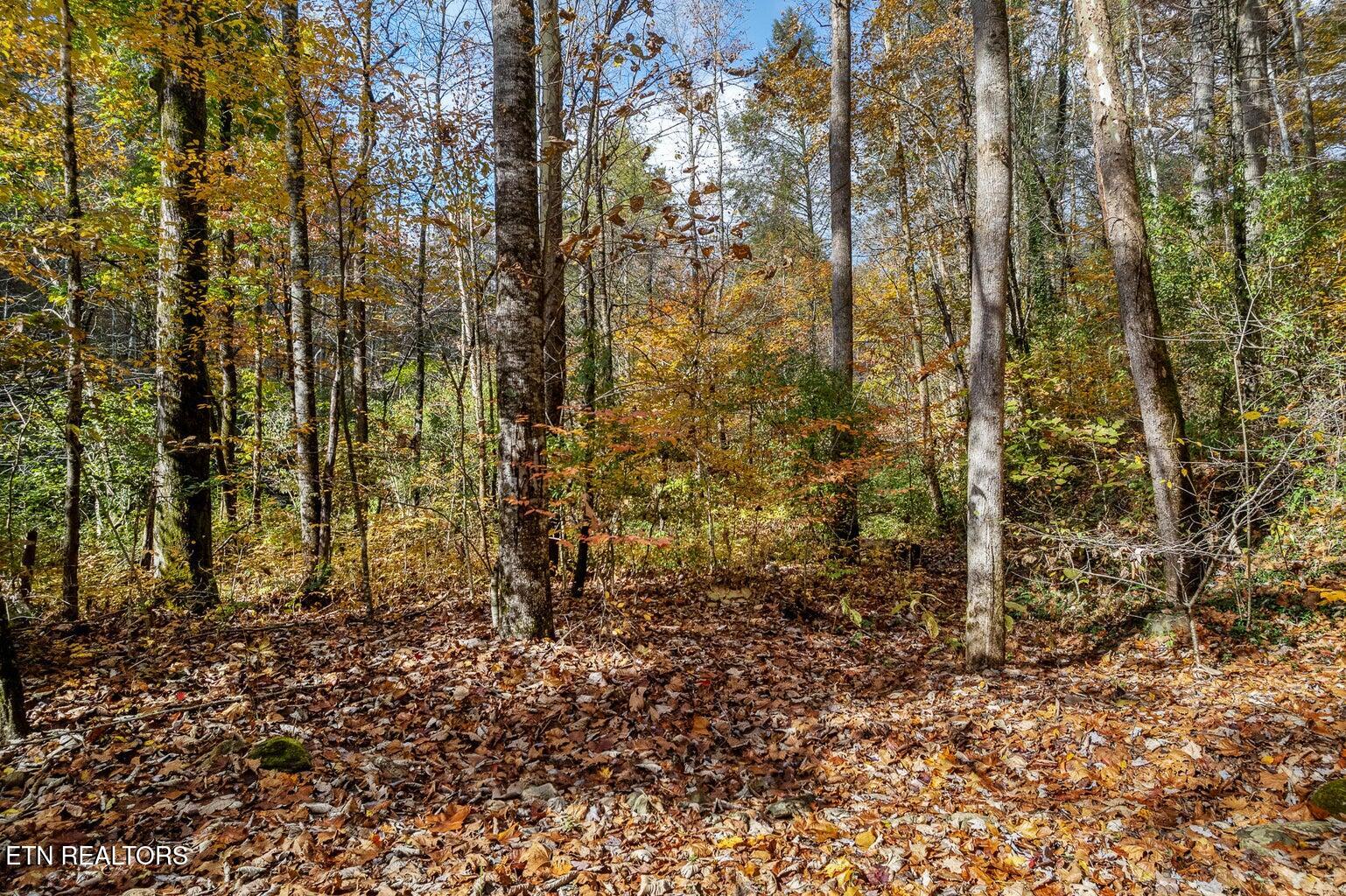 00 River Road Tellico Plains TN 37385