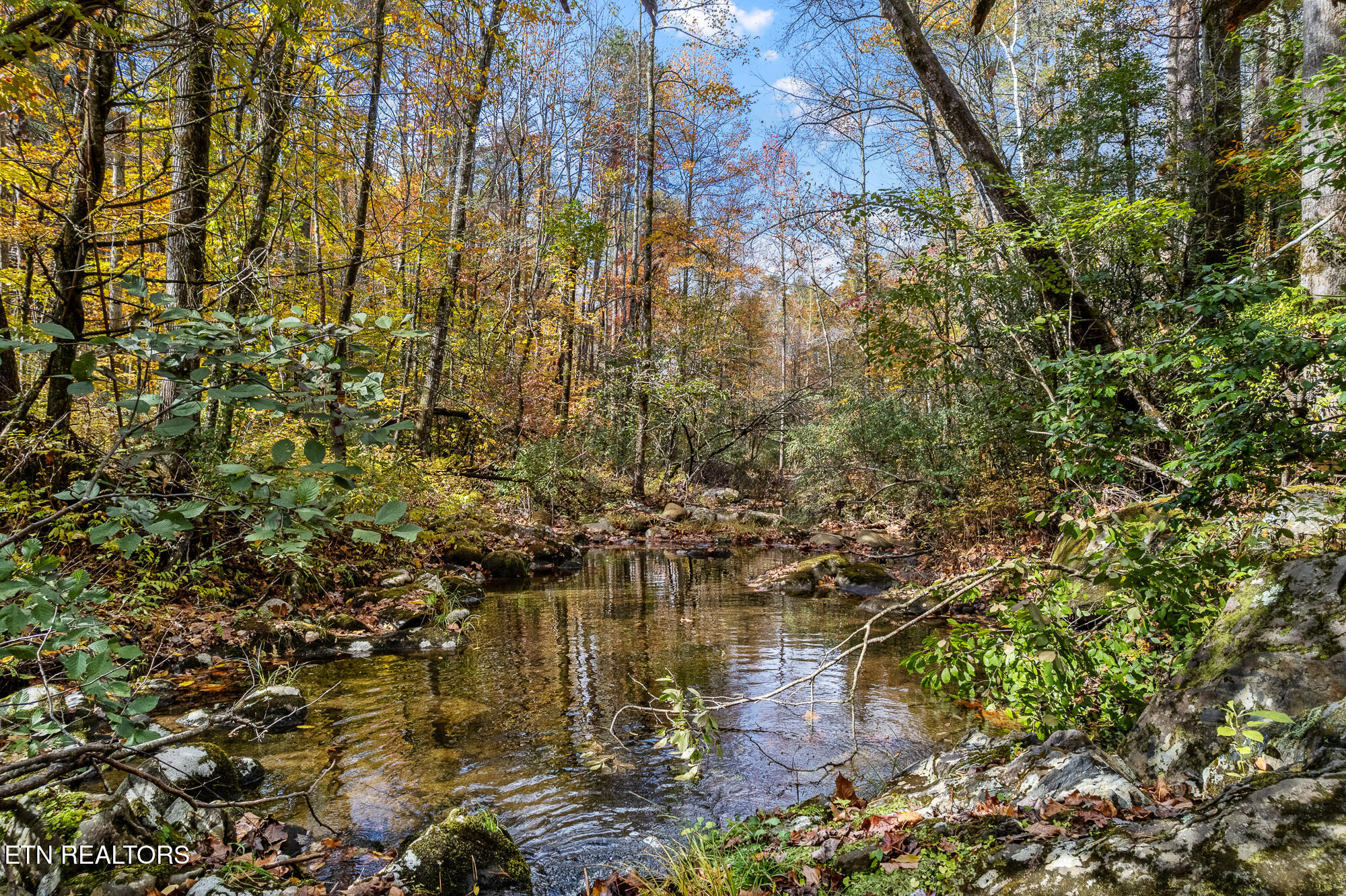 00 River Road Tellico Plains TN 37385