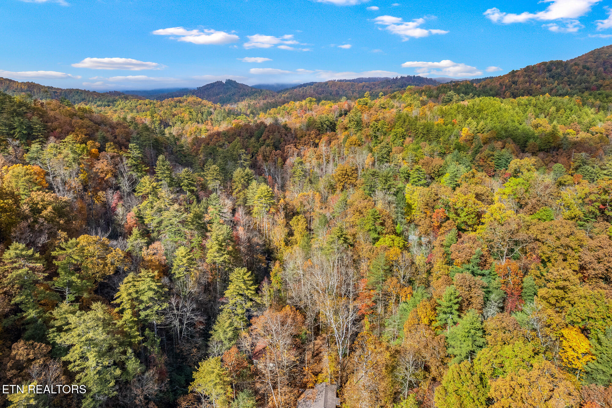 00 River Road Tellico Plains TN 37385