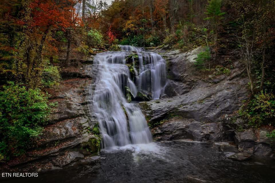00 River Road Tellico Plains TN 37385