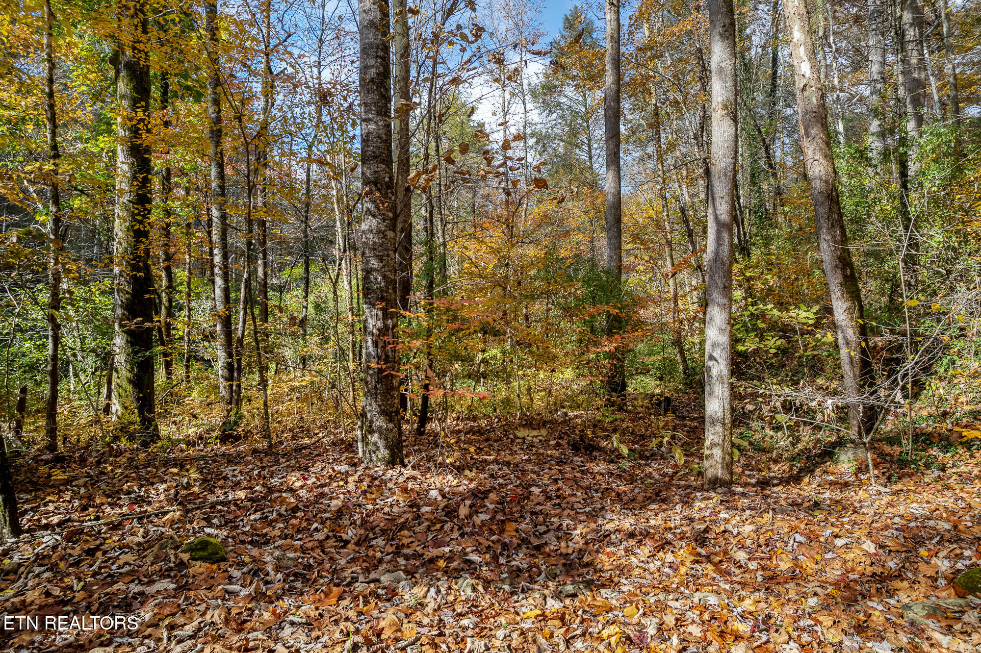 00 River Road Tellico Plains TN 37385