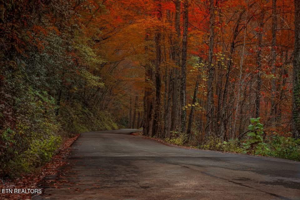 00 River Road Tellico Plains TN 37385