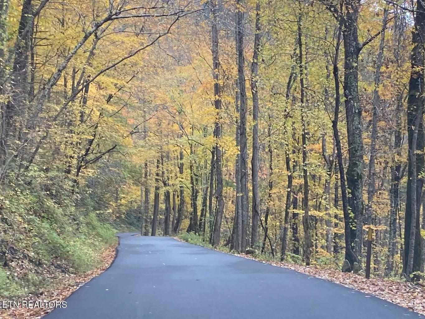 00 River Road Tellico Plains TN 37385