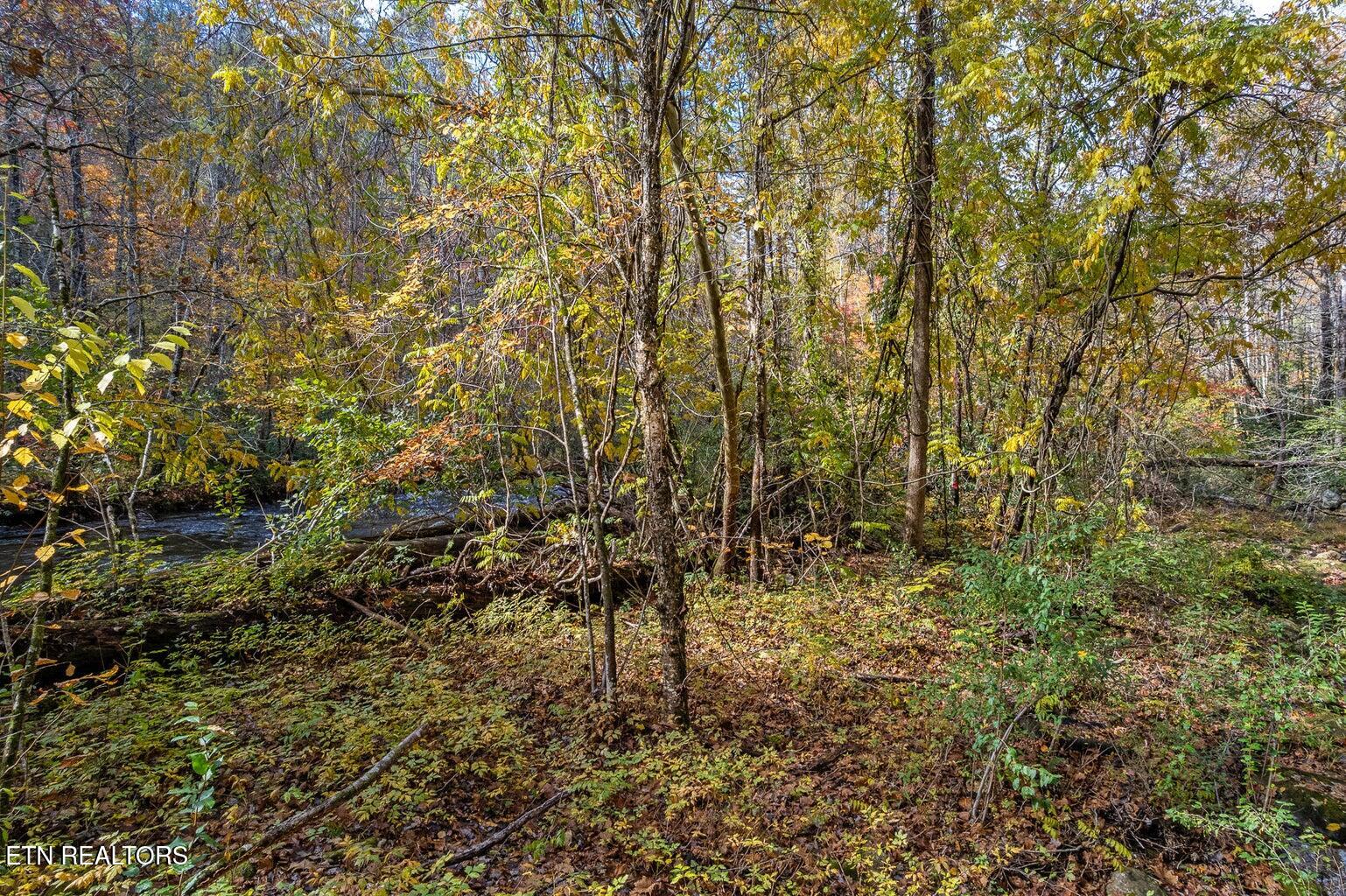 00 River Road Tellico Plains TN 37385