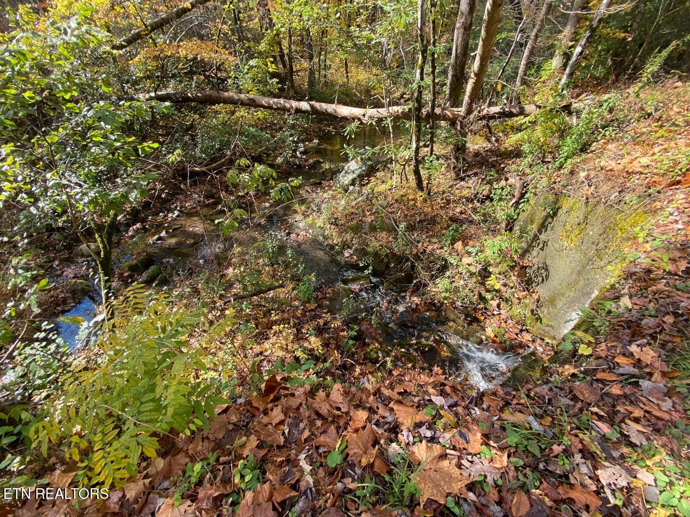 00 River Road Tellico Plains TN 37385