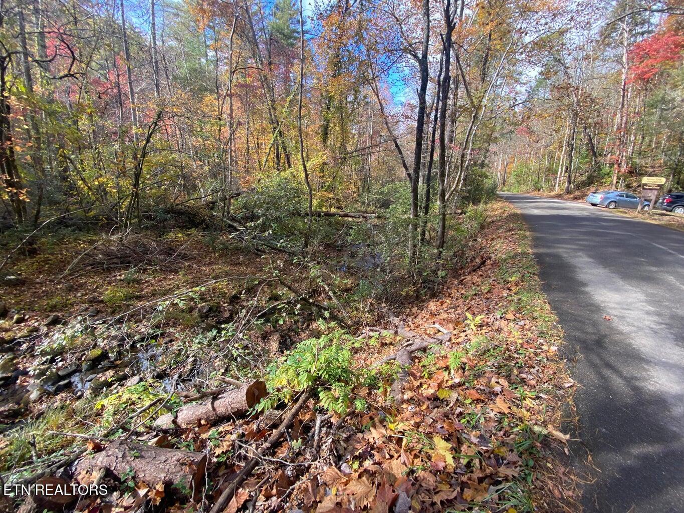 00 River Road Tellico Plains TN 37385