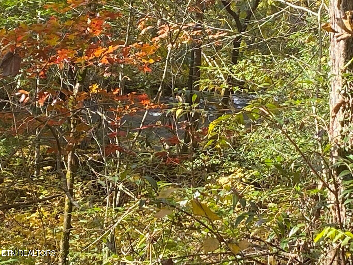 00 River Road Tellico Plains TN 37385