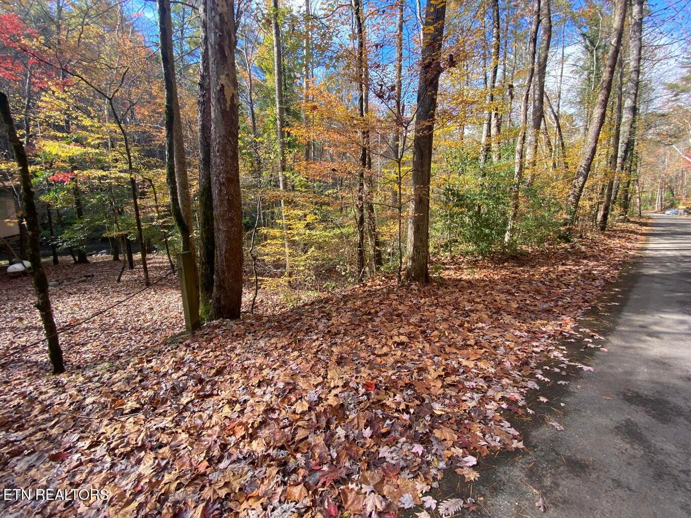 00 River Road Tellico Plains TN 37385