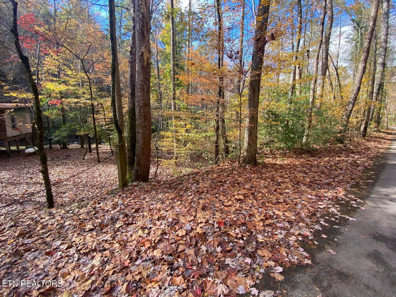 00 River Road Tellico Plains TN 37385