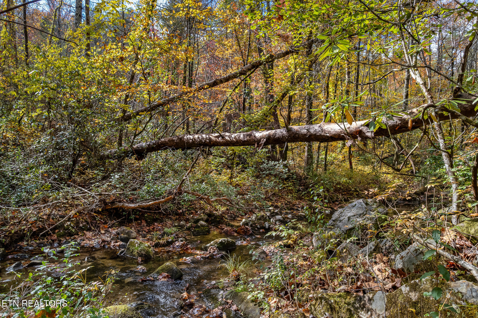 00 River Road Tellico Plains TN 37385