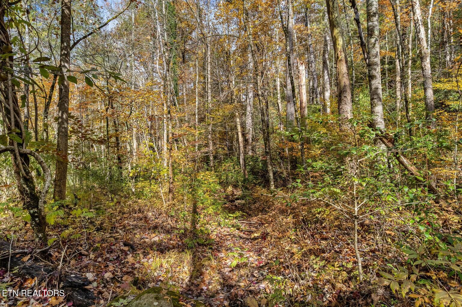 00 River Road Tellico Plains TN 37385