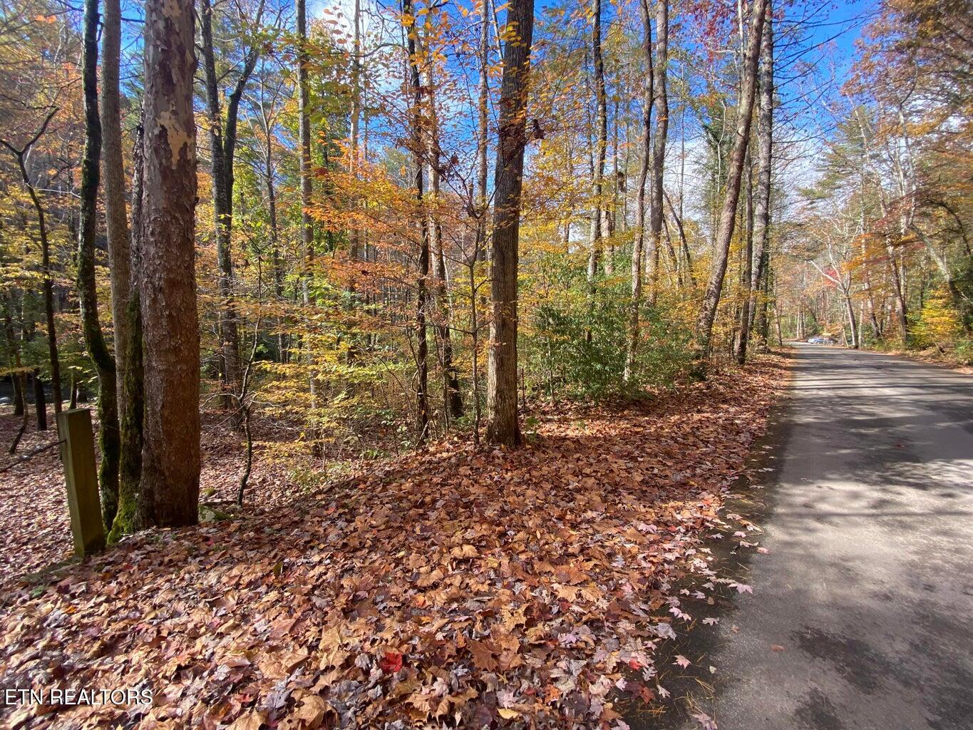 00 River Road Tellico Plains TN 37385
