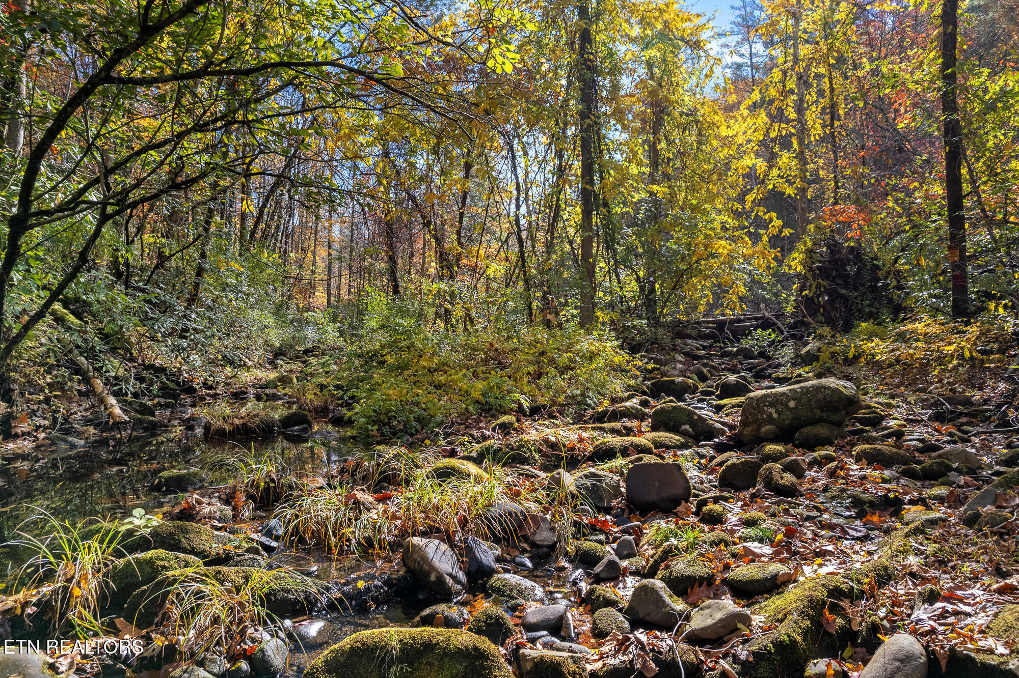00 River Road Tellico Plains TN 37385