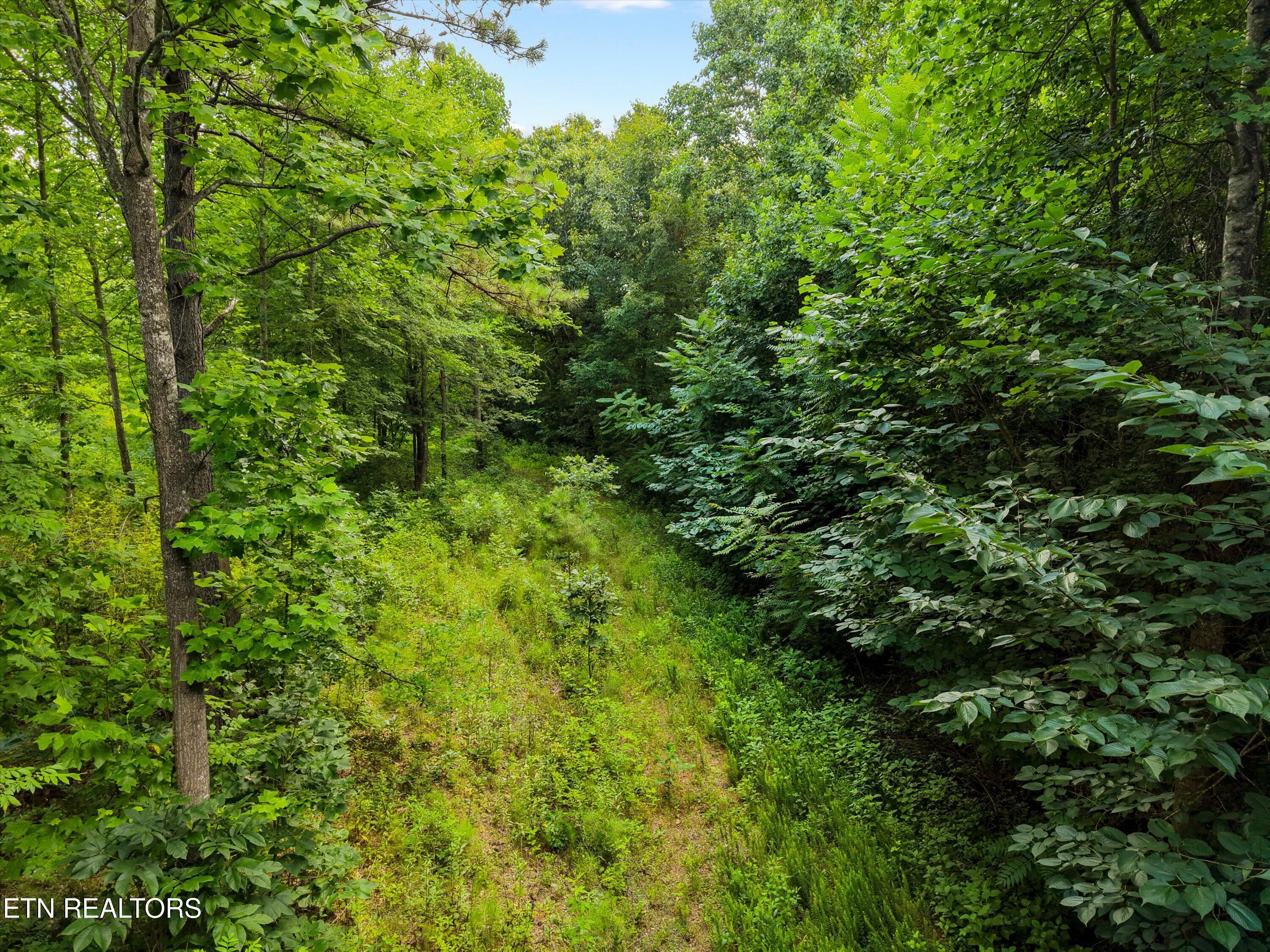 13252 Flatwoods Road Sweetwater TN 37874