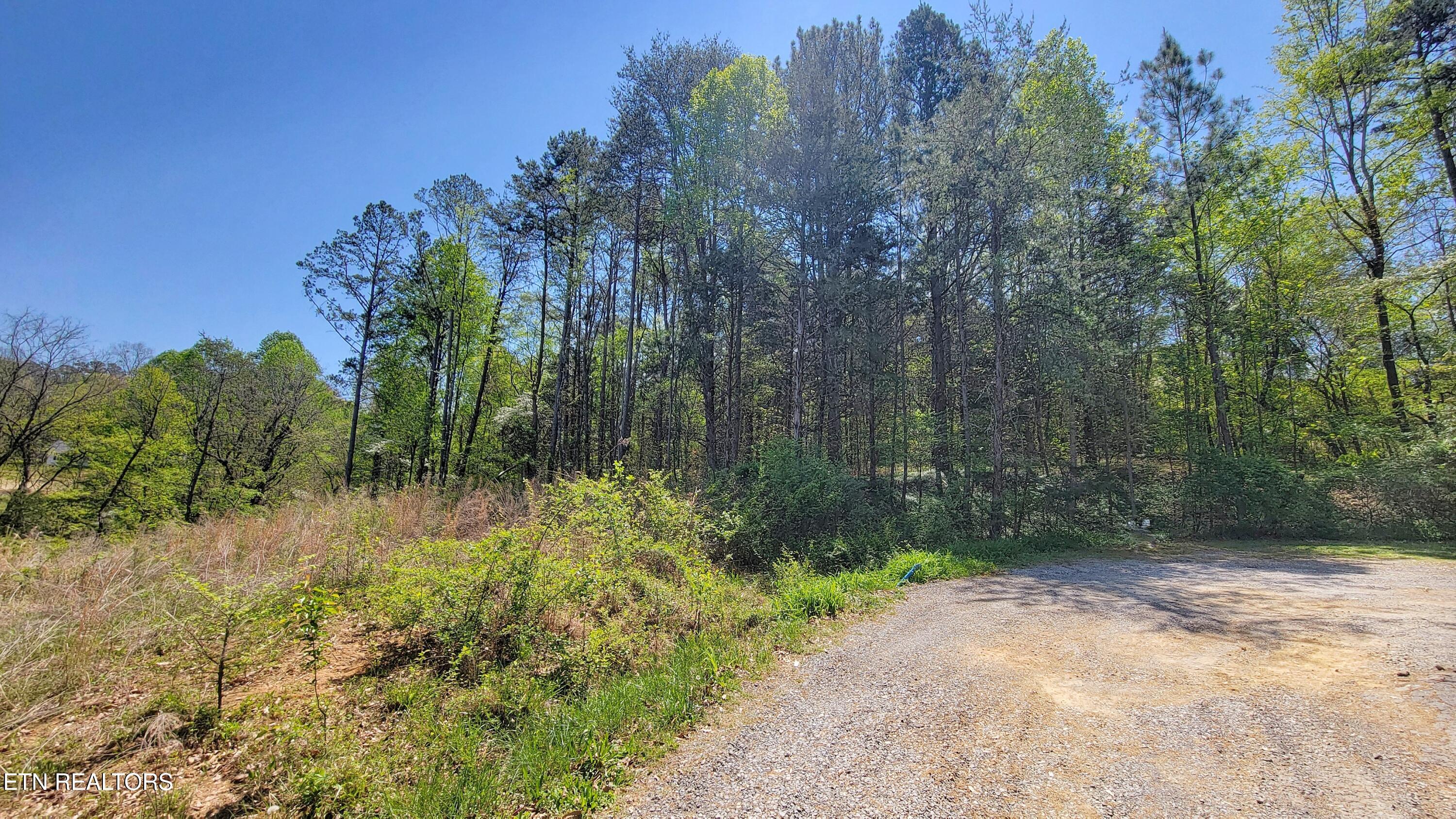 144 Wale Drive Parrottsville TN 37843