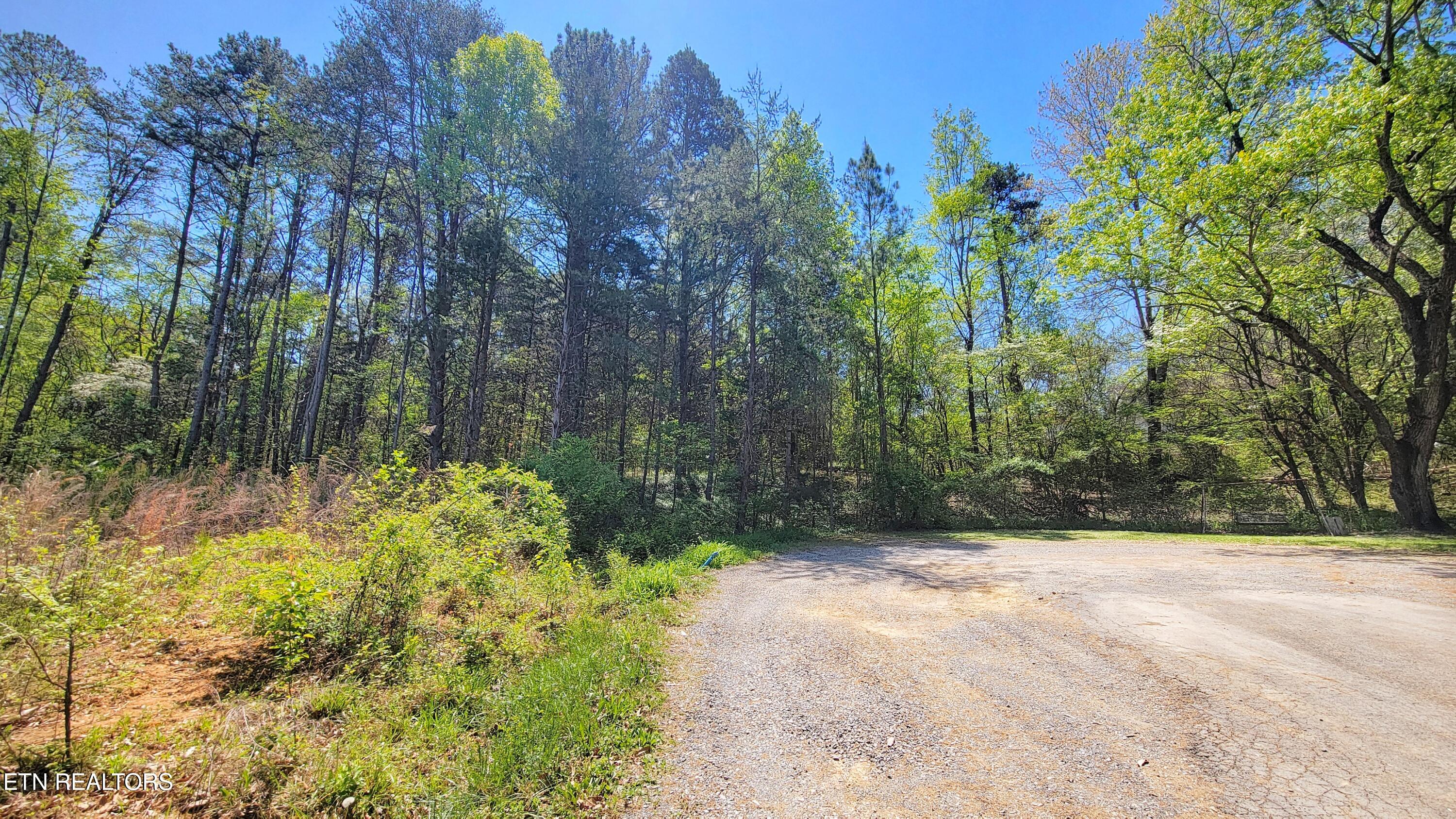 144 Wale Drive Parrottsville TN 37843