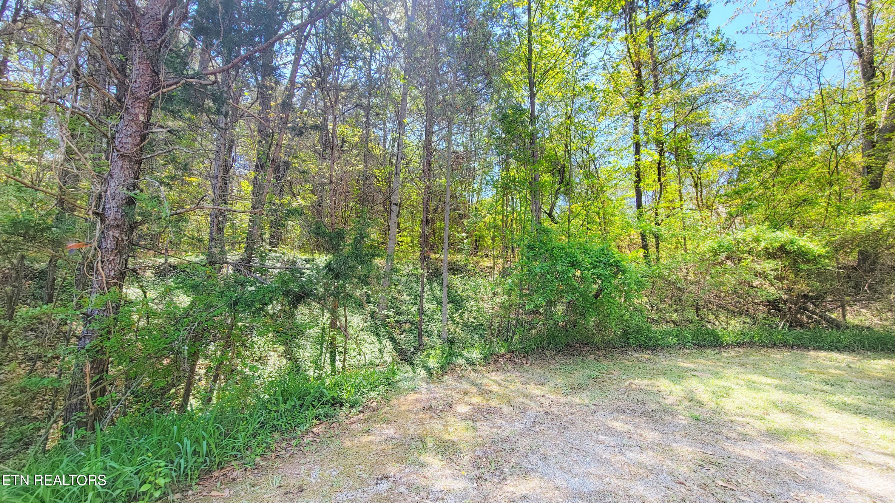 144 Wale Drive Parrottsville TN 37843