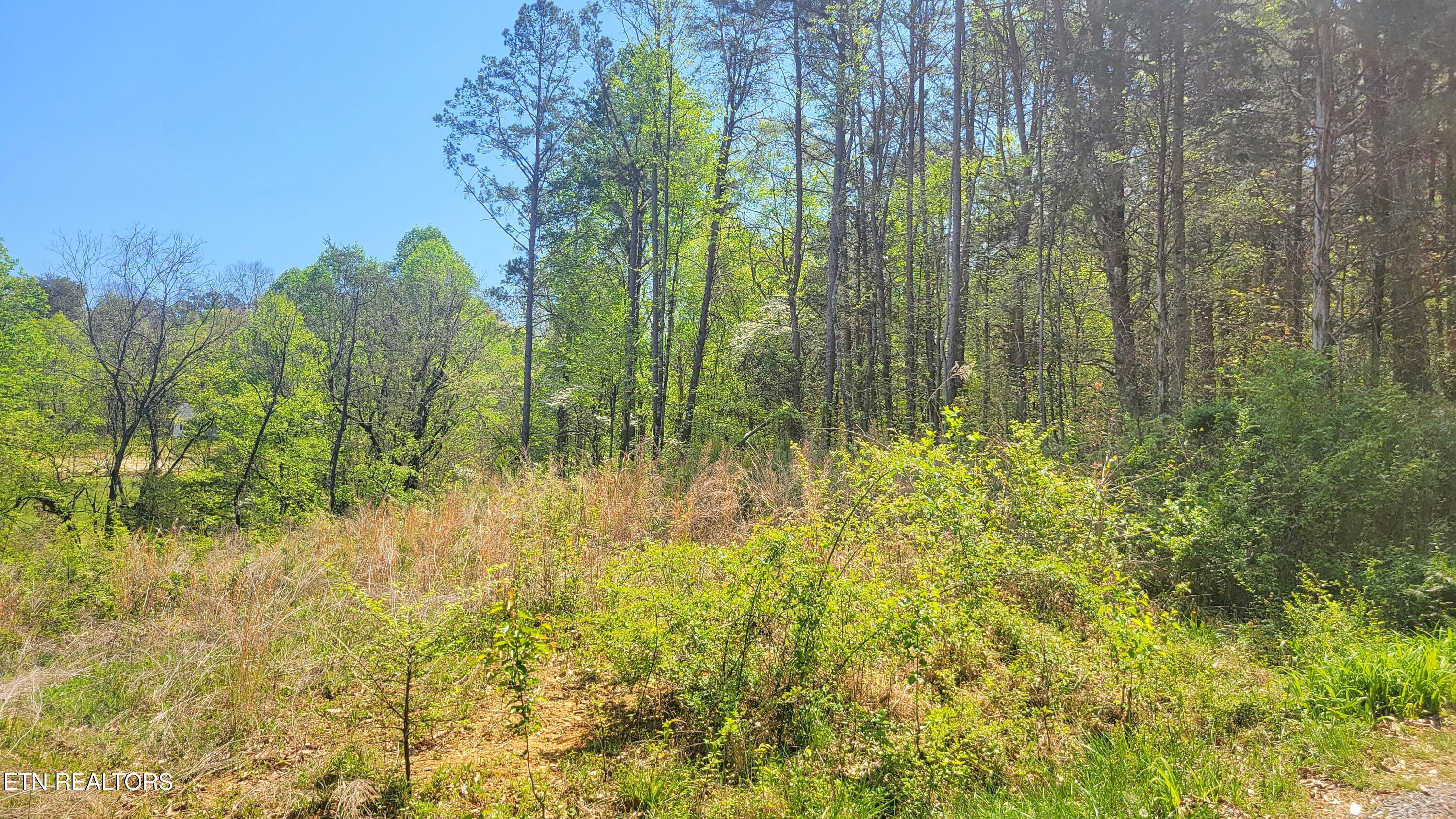 144 Wale Drive Parrottsville TN 37843
