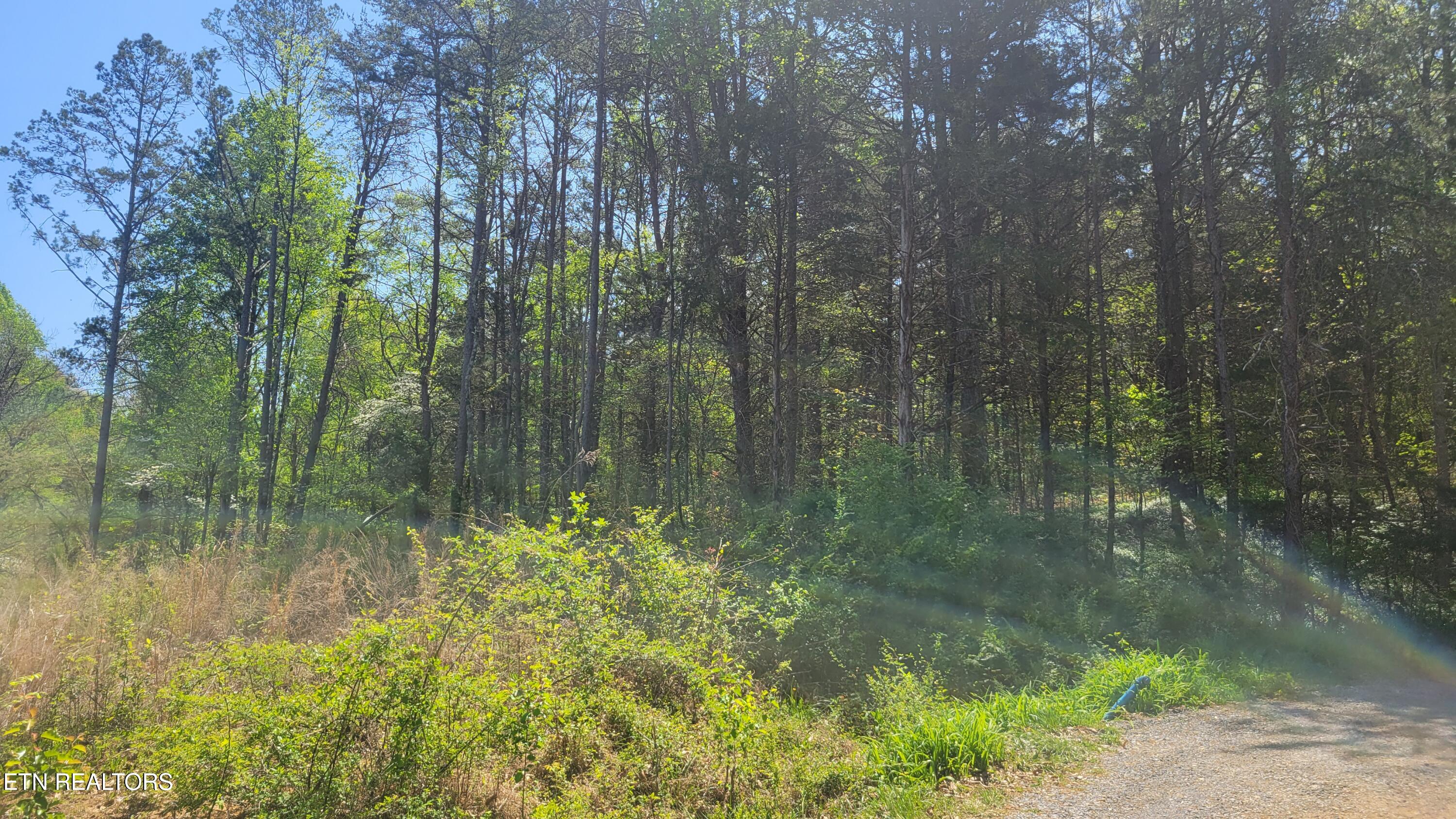 144 Wale Drive Parrottsville TN 37843