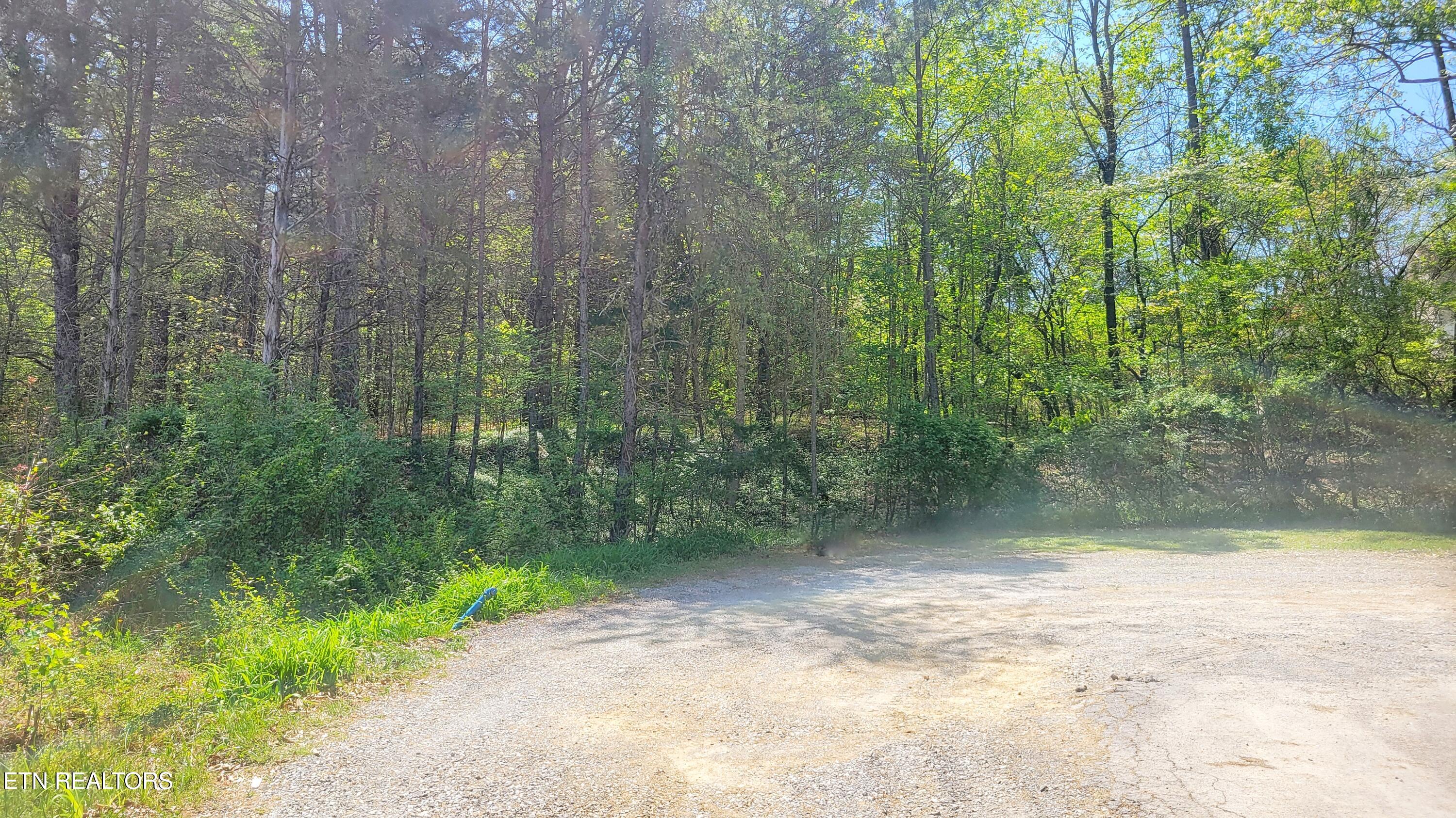 144 Wale Drive Parrottsville TN 37843