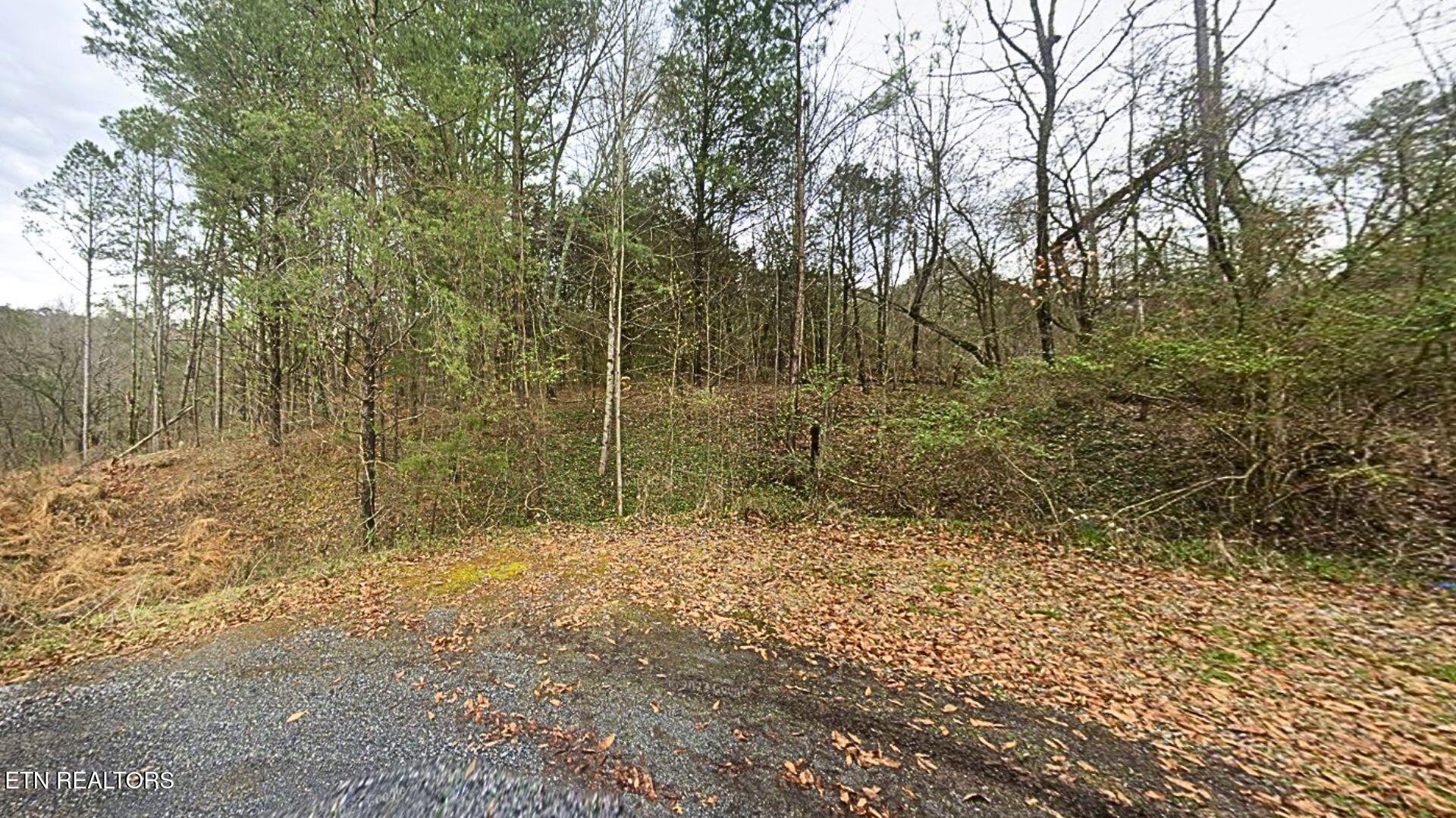 144 Wale Drive Parrottsville TN 37843
