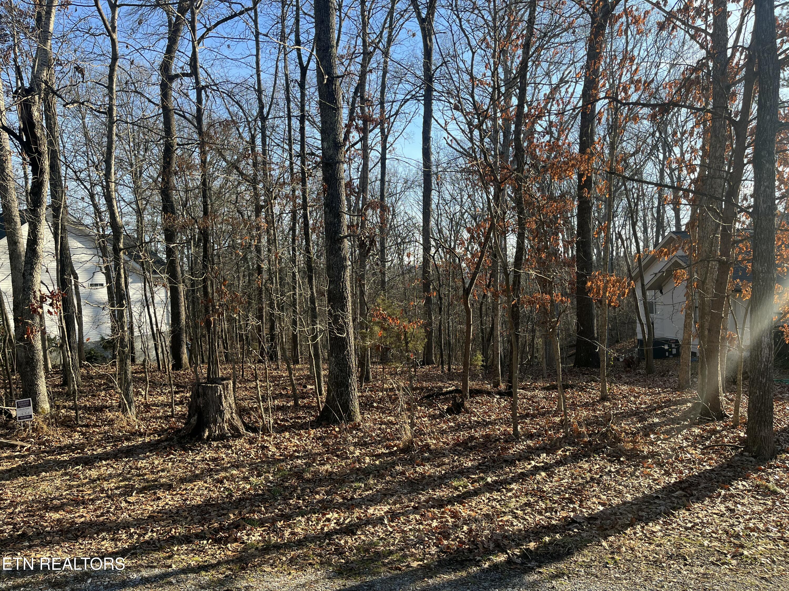221 Ootsima Way Loudon TN 37774