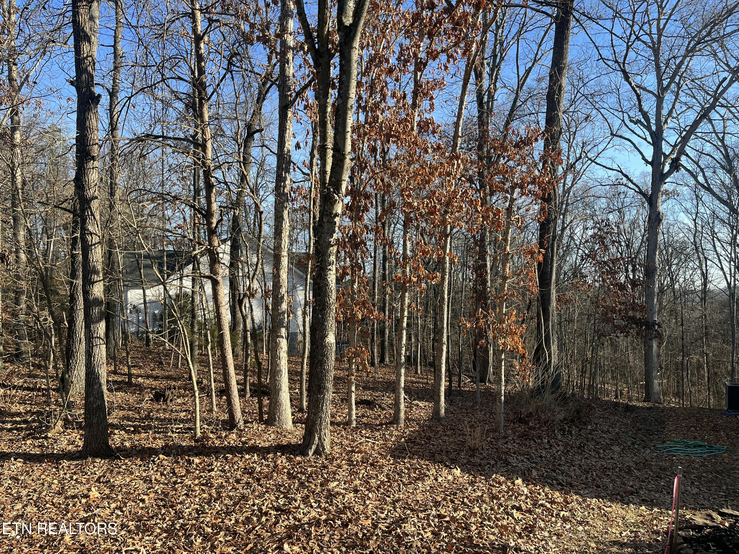 221 Ootsima Way Loudon TN 37774
