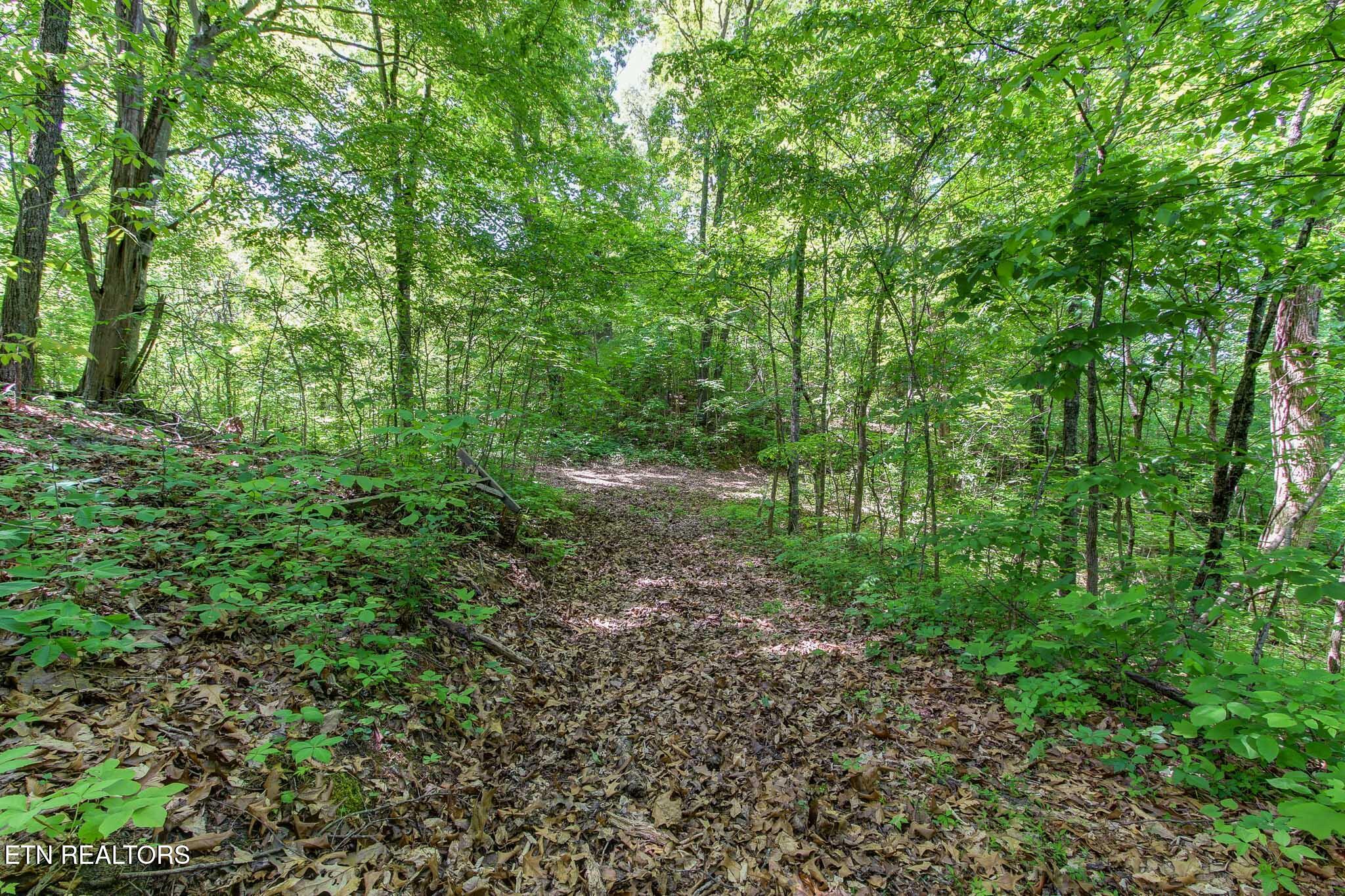 Lots 1-6r Thomas Cross Road Sevierville TN 37876