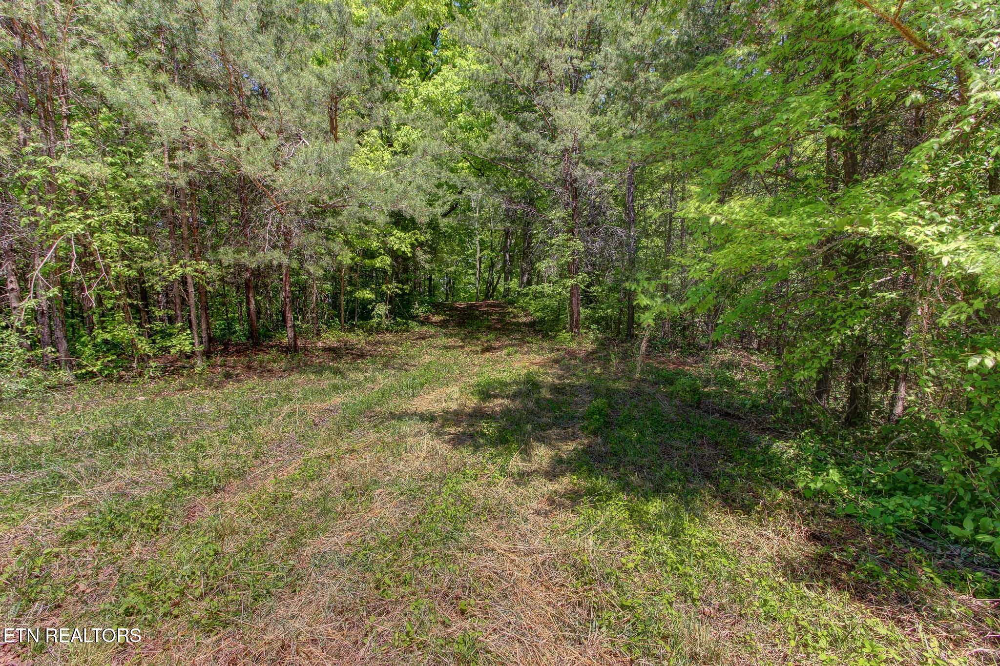 Lots 1-6r Thomas Cross Road Sevierville TN 37876