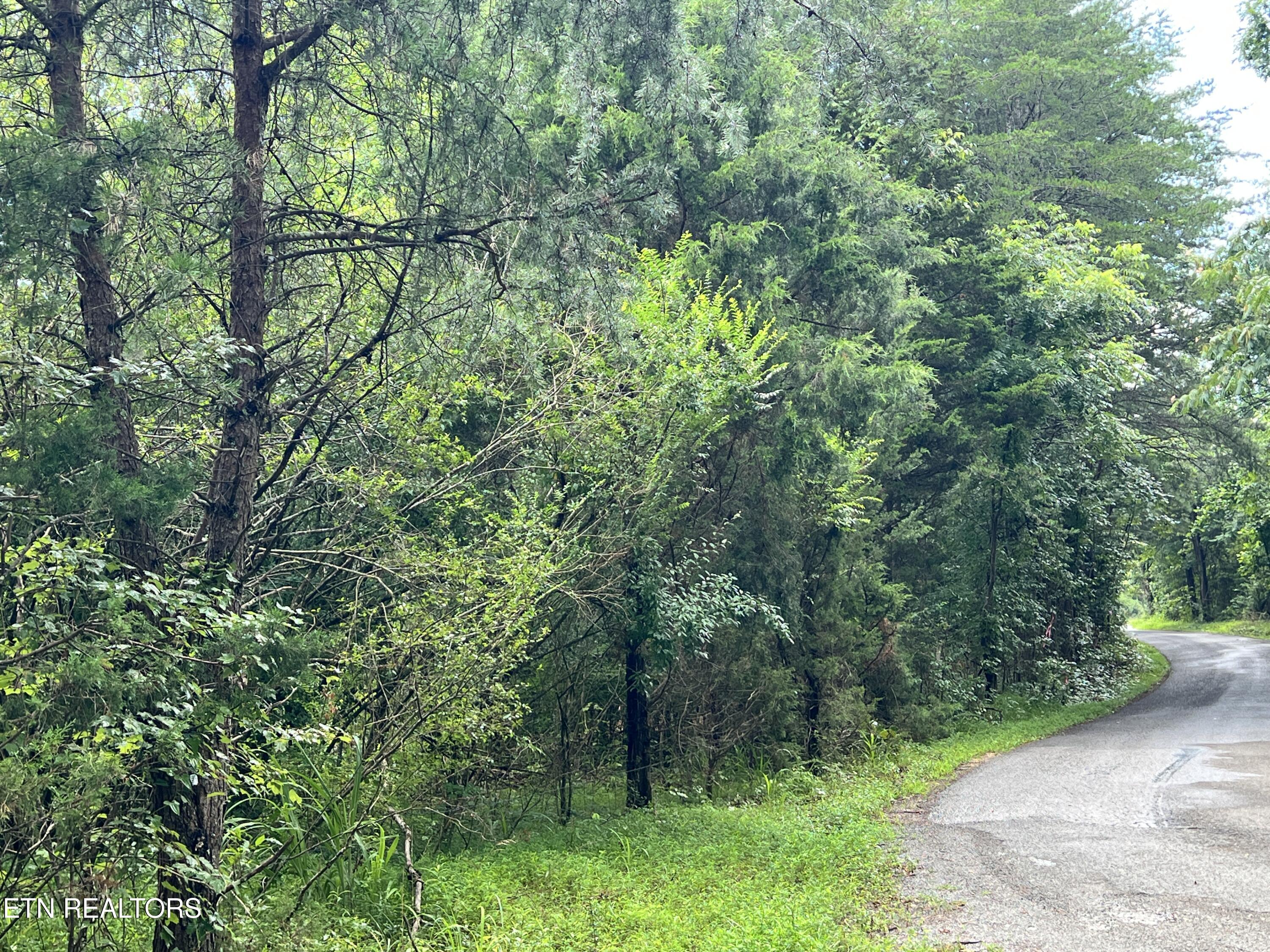 Lot 3 Prigmore Ridge Road Decatur TN 37322