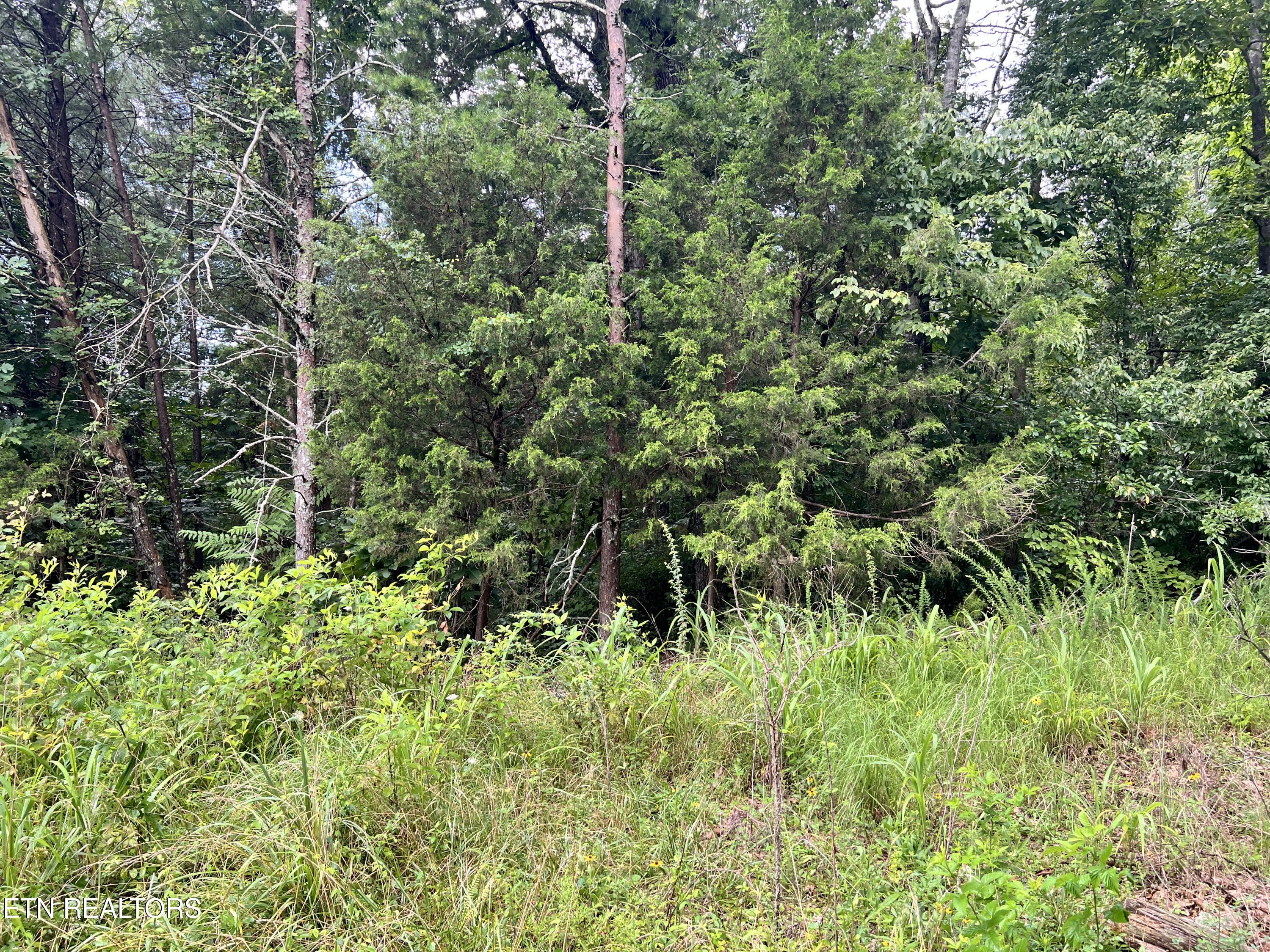 Lot 3 Prigmore Ridge Road Decatur TN 37322