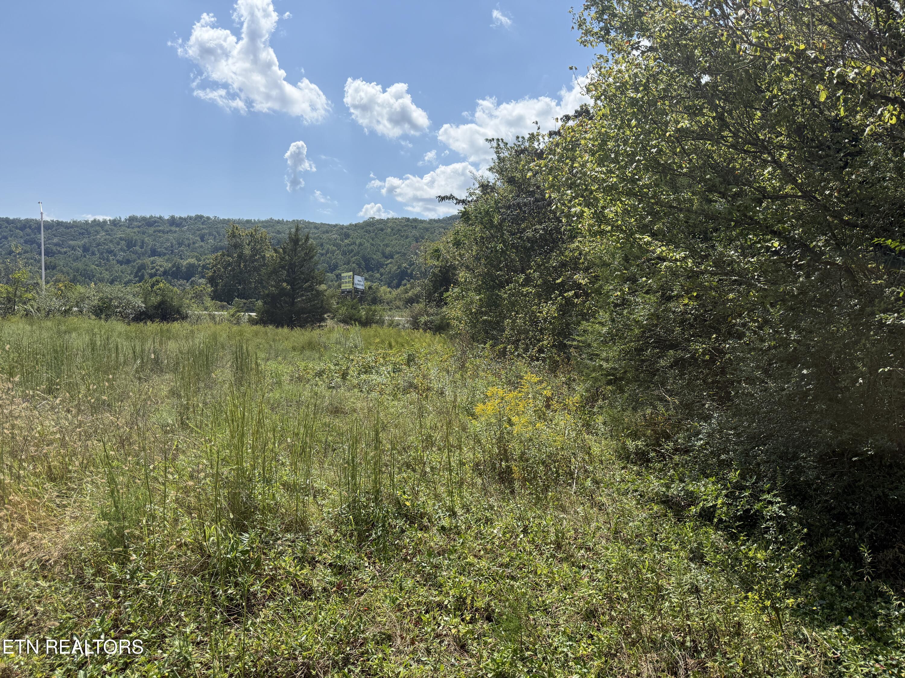 0 Sharpe Drive Rocky Top TN 37769