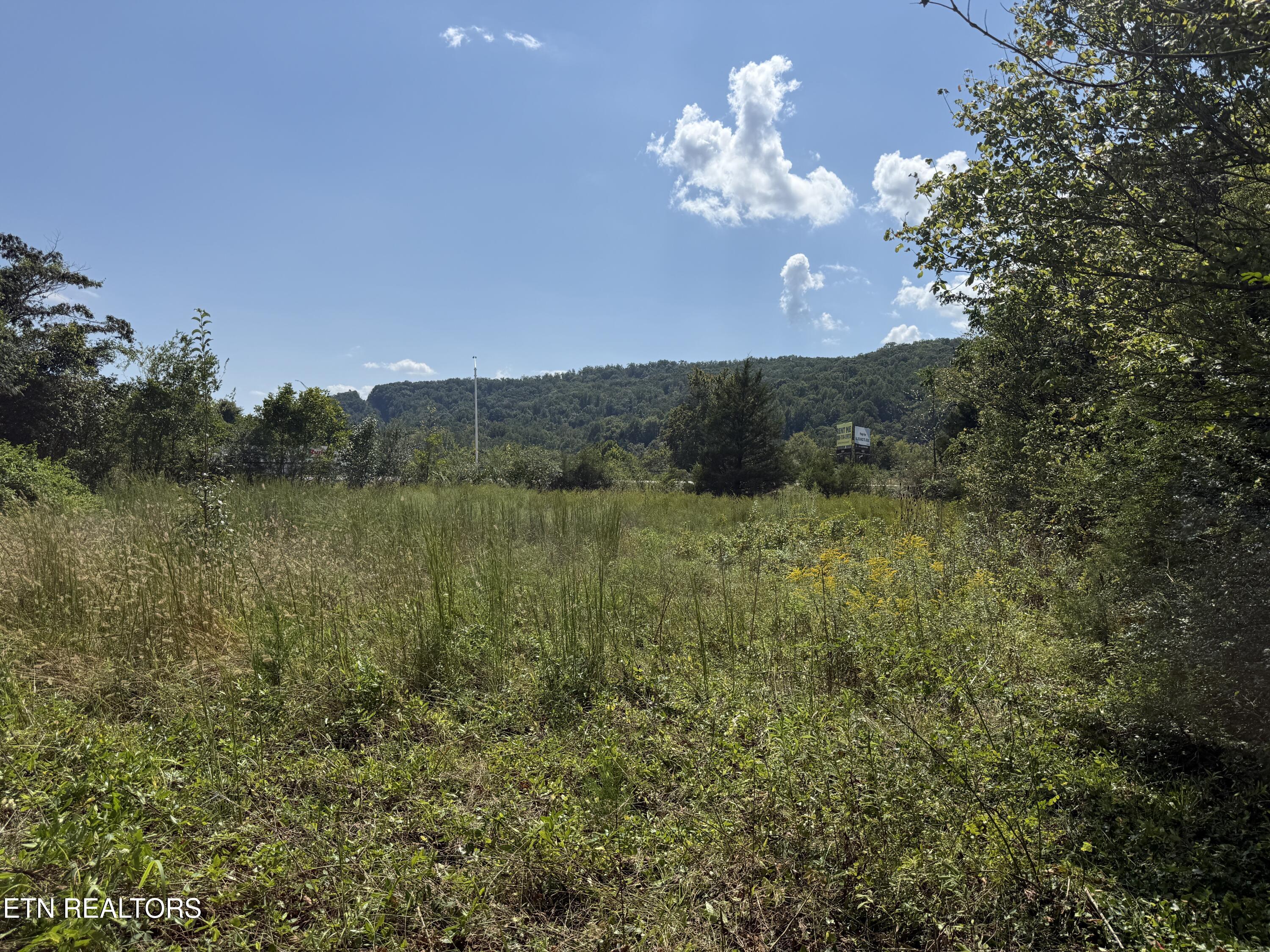 0 Sharpe Drive Rocky Top TN 37769