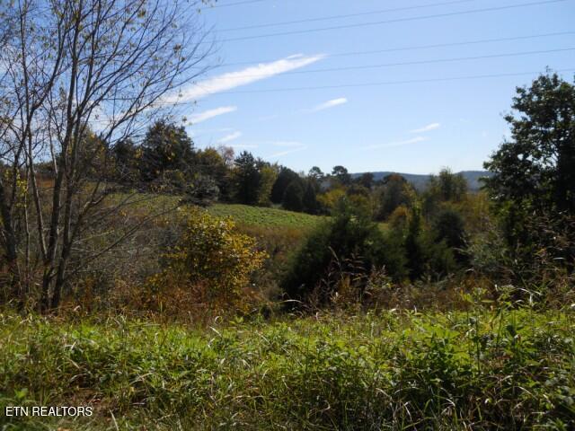0 French Road Knoxville TN 37920