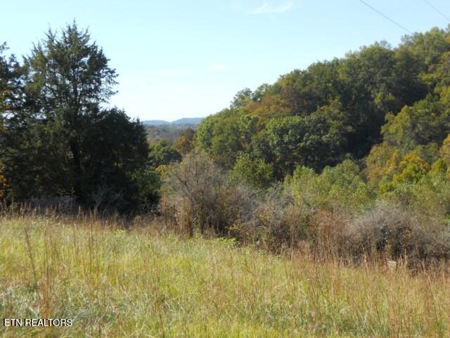 0 French Road Knoxville TN 37920