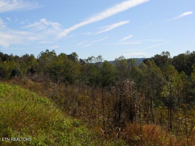 0 French Road Knoxville TN 37920