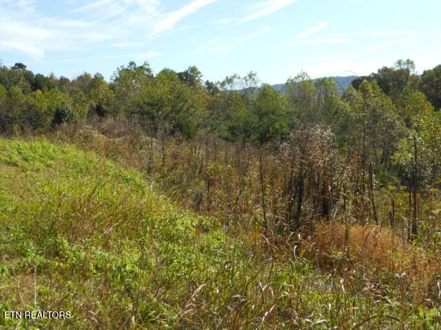 0 French Road Knoxville TN 37920