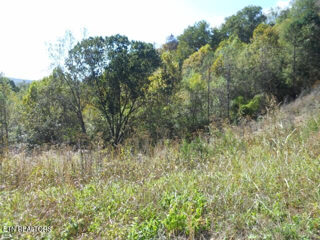 0 French Road Knoxville TN 37920