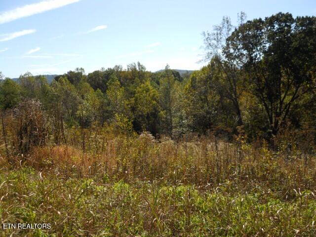 0 French Road Knoxville TN 37920