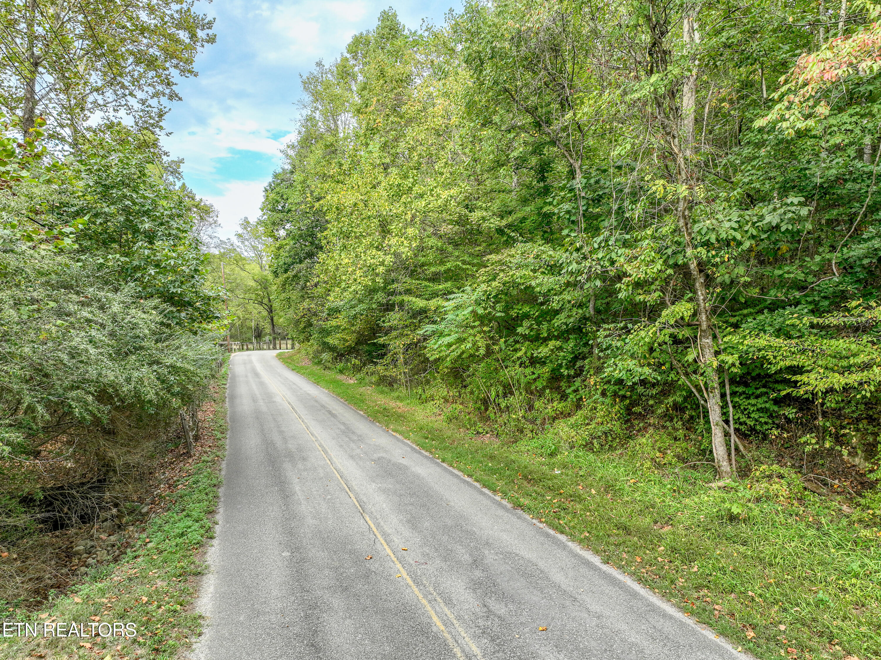 Paw Paw Plains, 23.4 Acres Road Lenoir City TN 37771