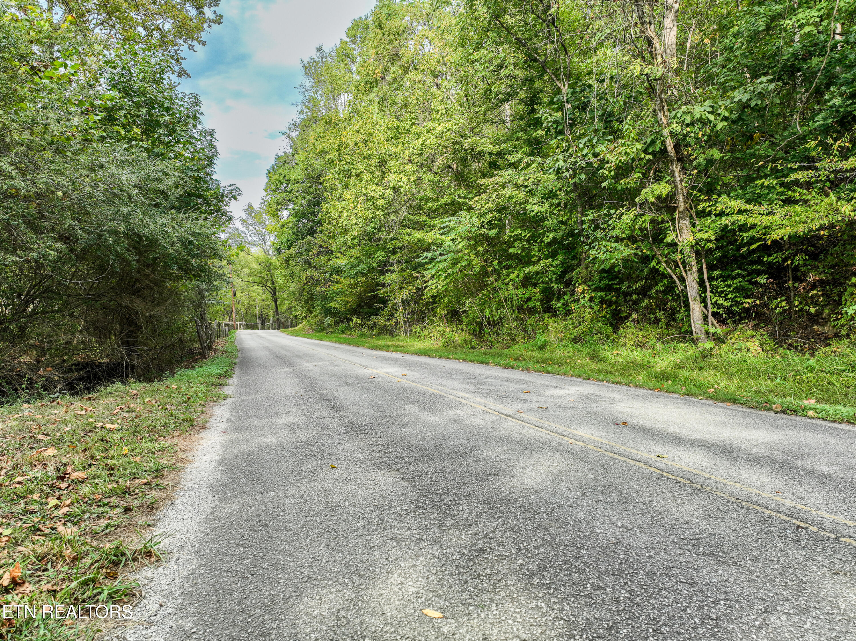 Paw Paw Plains, 23.4 Acres Road Lenoir City TN 37771