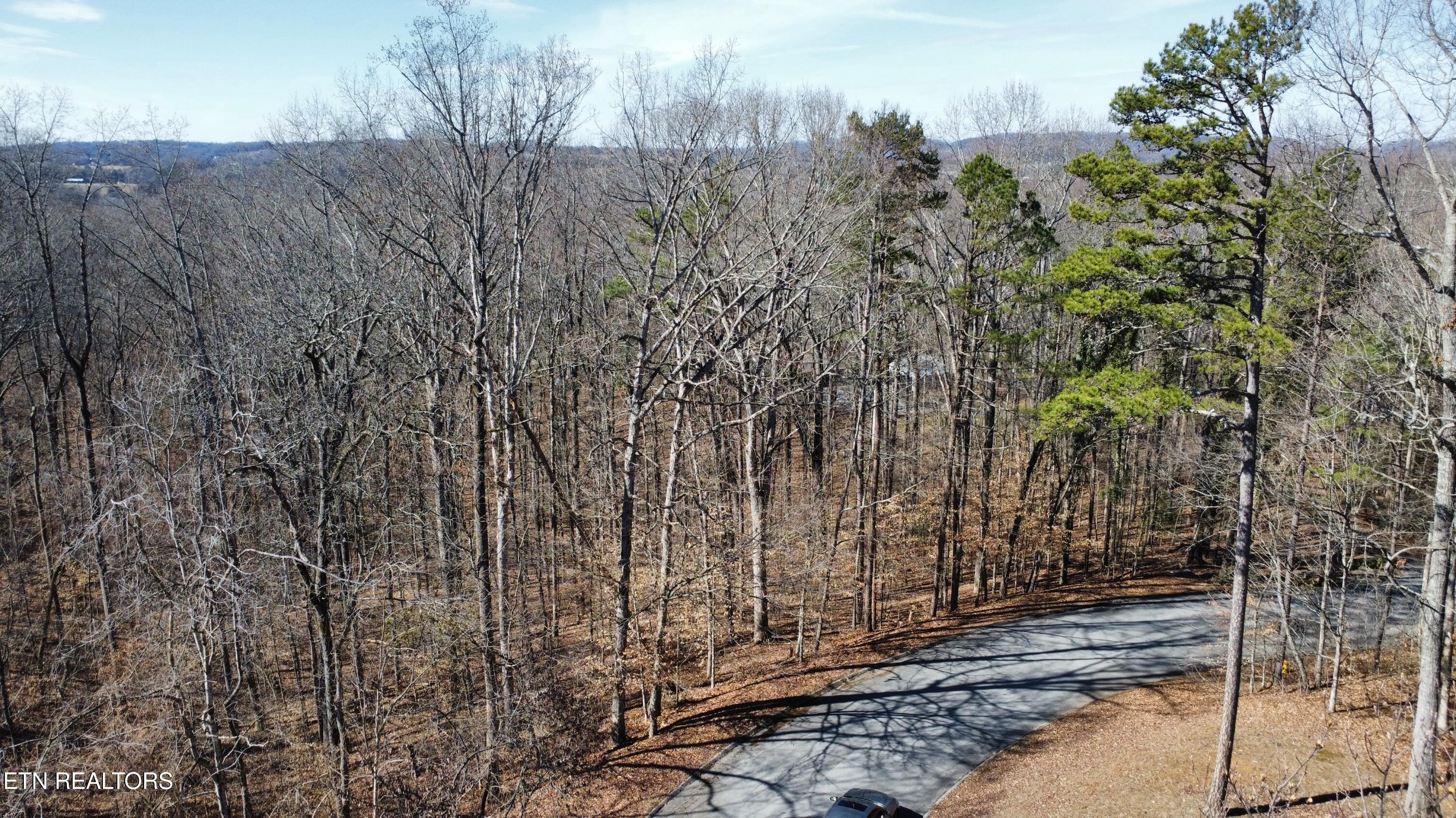 Havenwood Drive Maryville TN 37804