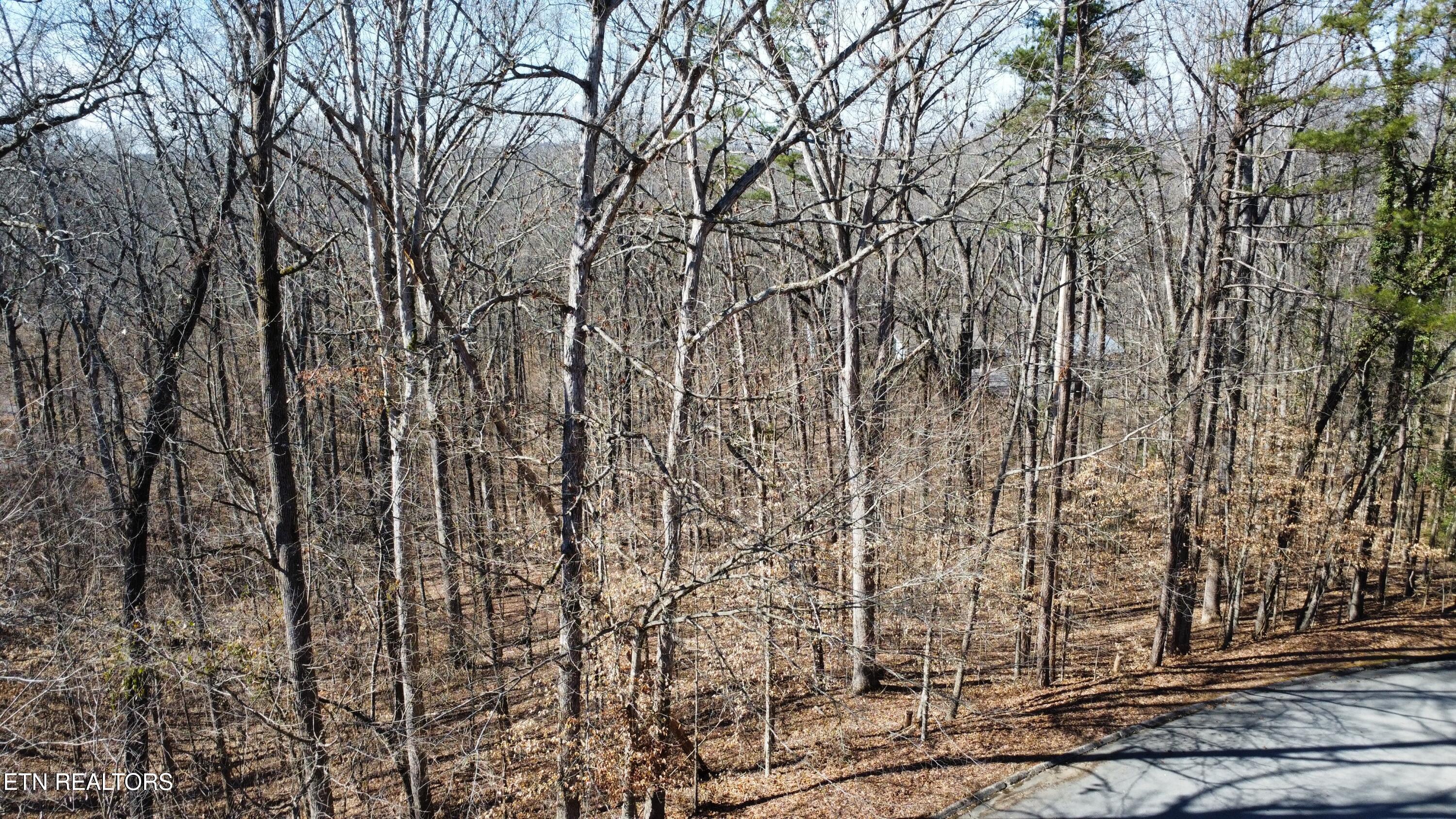 Havenwood Drive Maryville TN 37804