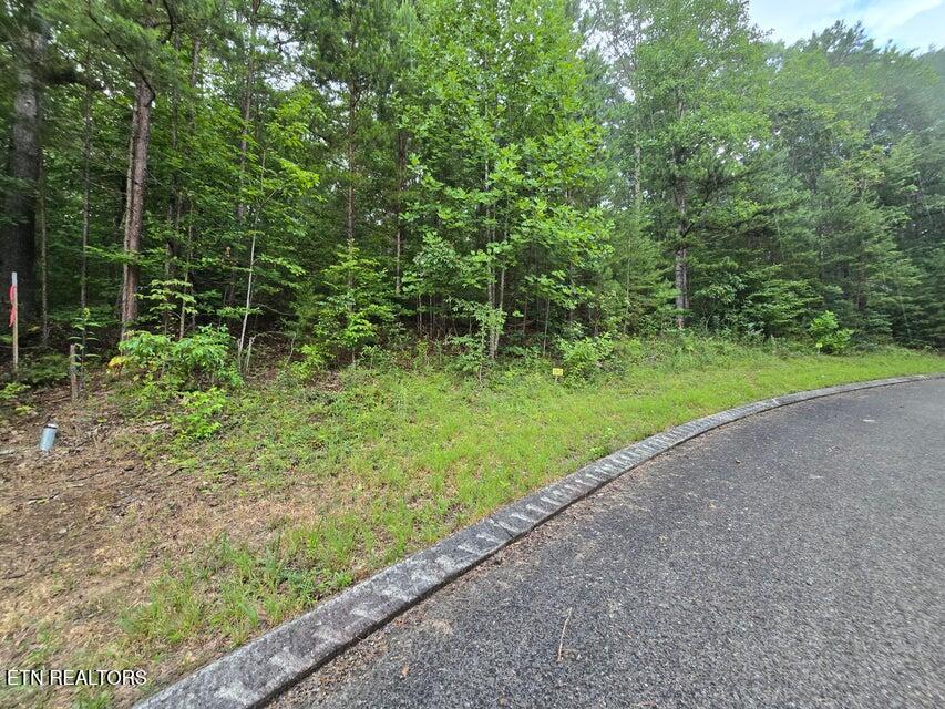 Lot 155 Lower Brow Road Dunlap TN 37327