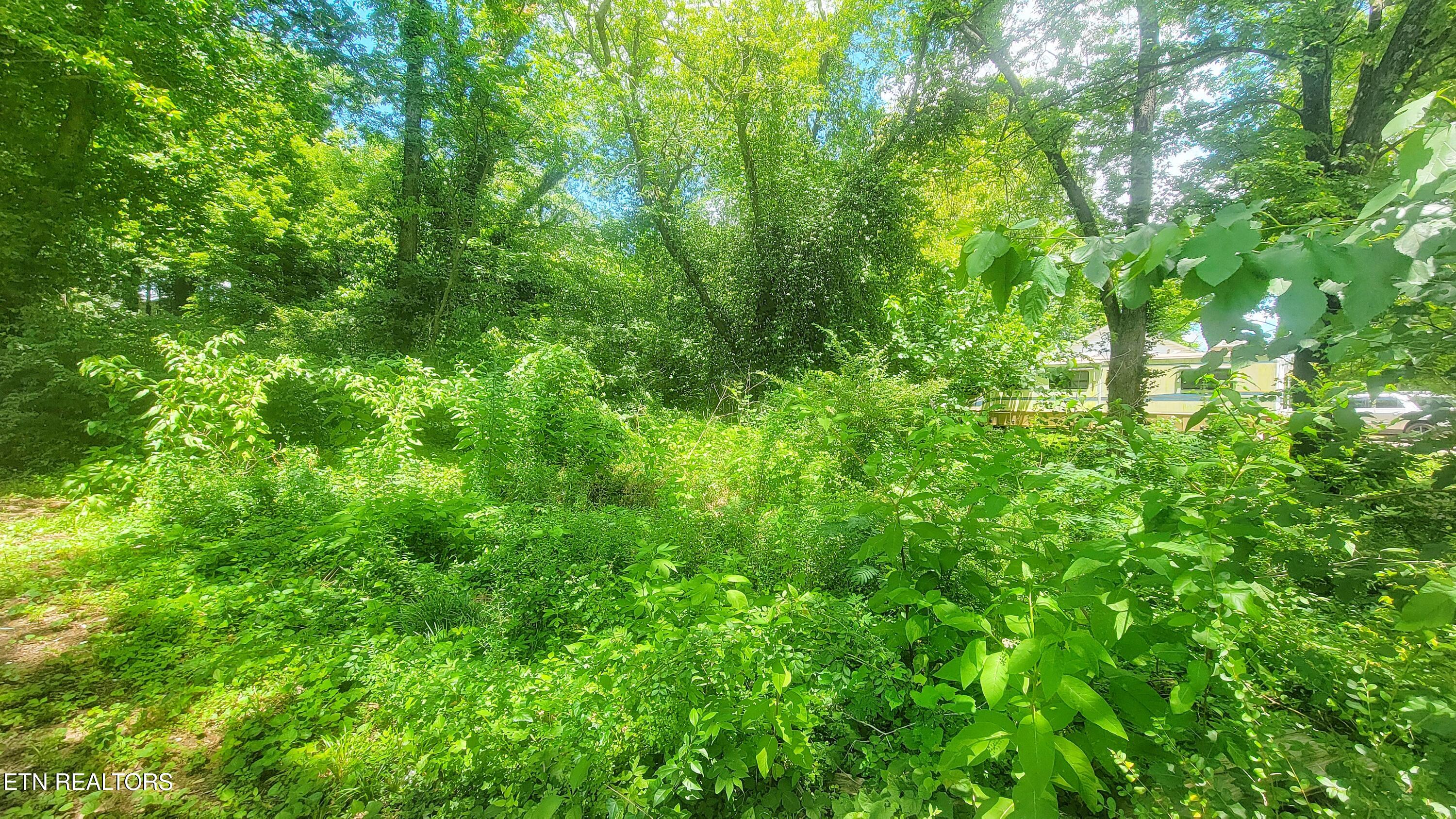 3109 Landview Drive Knoxville TN 37914